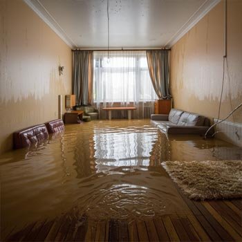 North Carolina Water Damage Experts